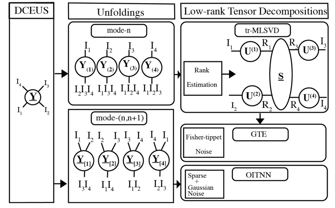 41551_2024_1275_Fig1_HTML.png